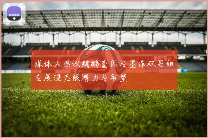 媒体人热议鹈鹕奎因与墨菲双星组合展现无限潜力与希望