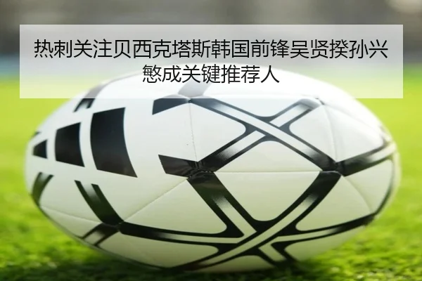 热刺关注贝西克塔斯韩国前锋吴贤揆孙兴慜成关键推荐人（Yabo）